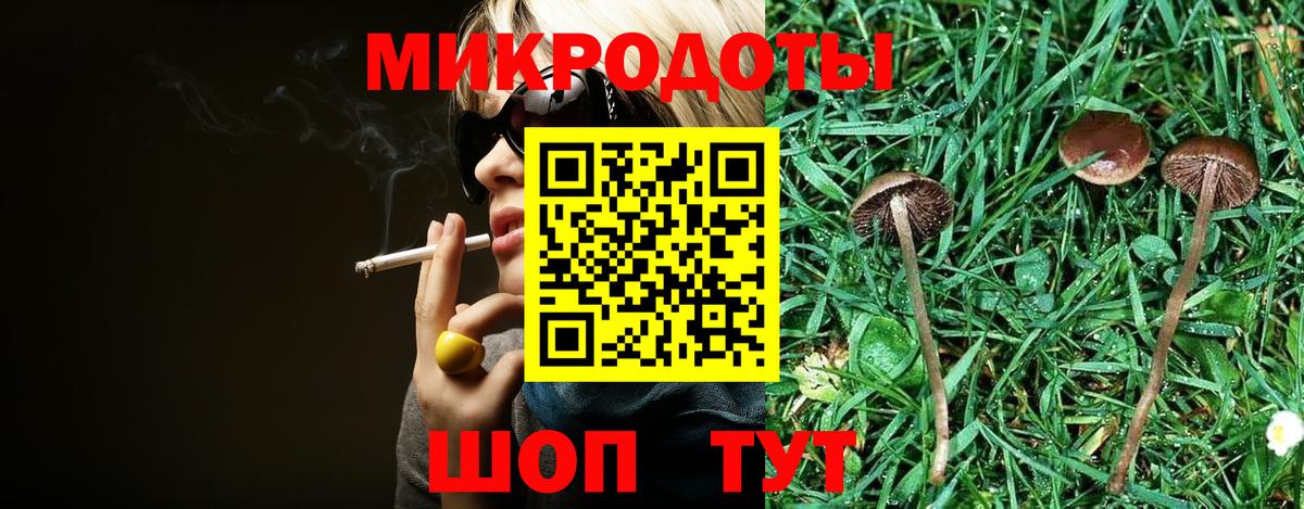 Курчалой  Псилоцибиновые грибы Psilocybine cubensis  Вход с VPN 