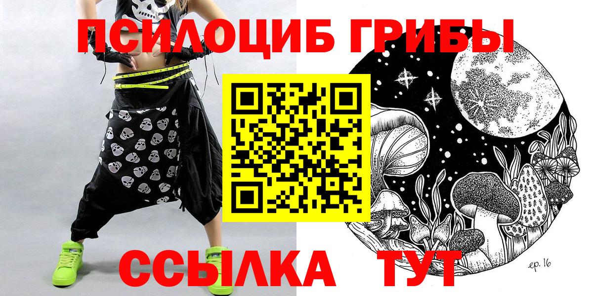Галлюциногенные грибы GOLDEN TEACHER Курчалой